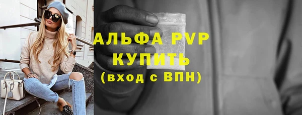 ECSTASY Новодвинск