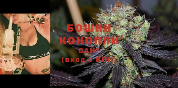 прущие грибы Новокубанск