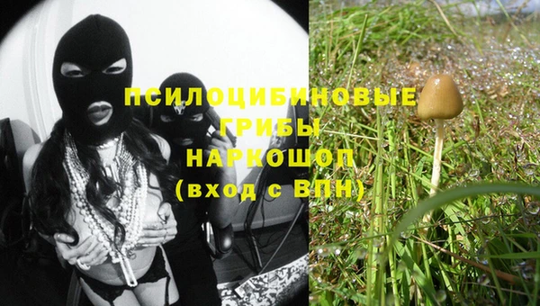 бошки Алексеевка