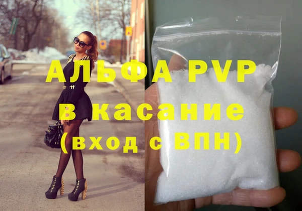 мет Алексин